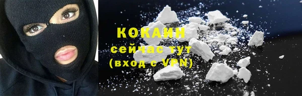 хмурый Арсеньев