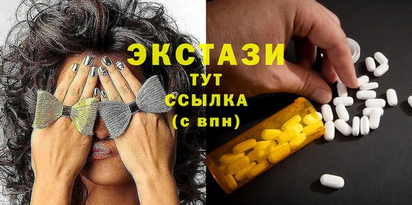 хмурый Арсеньев
