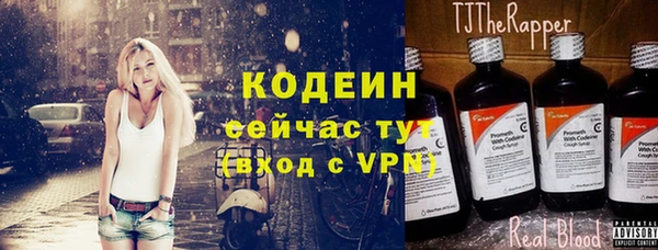 хмурый Арсеньев