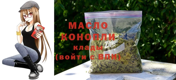 хмурый Арсеньев