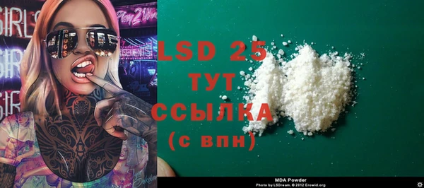 ешки Аркадак