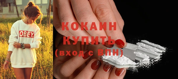 ешки Аркадак