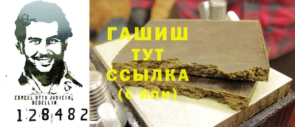 хмурый Арсеньев